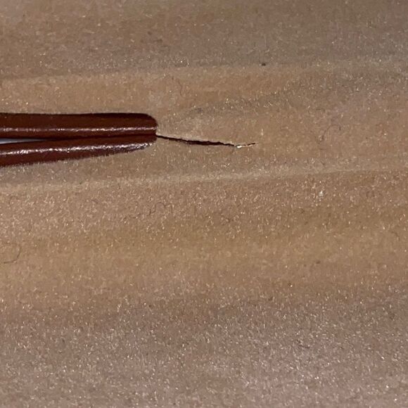 LONGCHAMP Leather Eyeglass Case - Picture 6 of 6